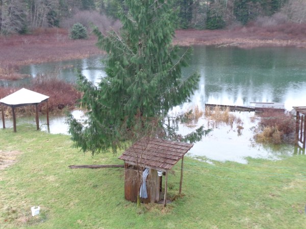 bruise, Ollie, storm of December 2014 022