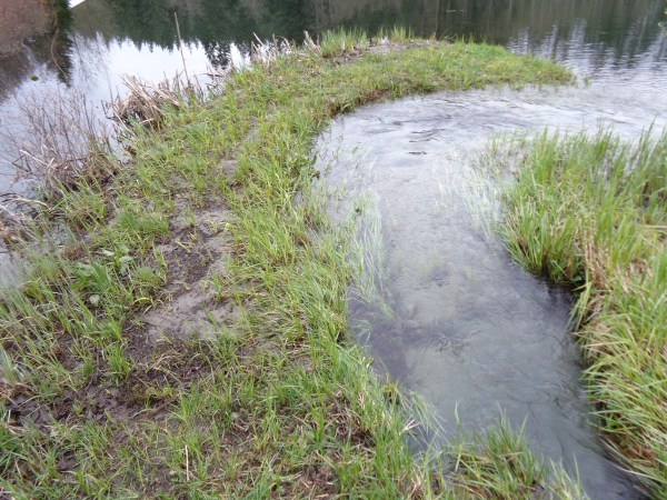 the groom, peninsula 016