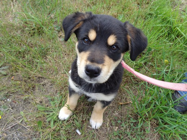 Katoo June, 2016 011