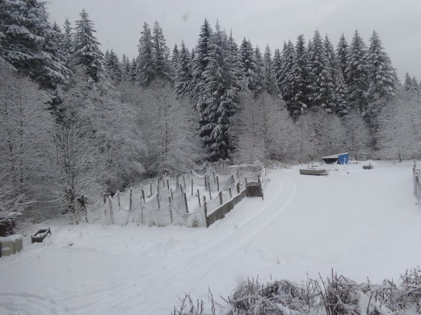 storm-of-feb-3-4-2017-016