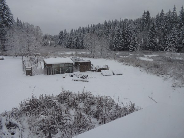 storm-of-feb-3-4-2017-017