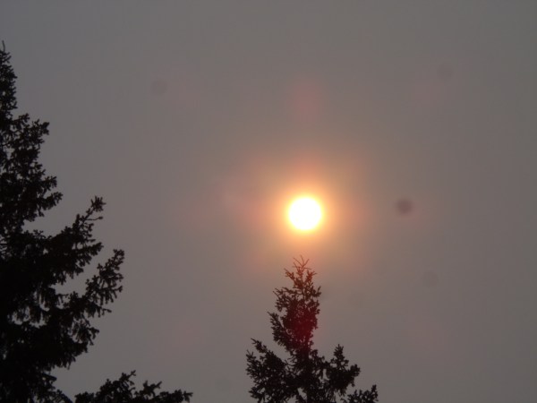 smoke, foundation 013.JPG